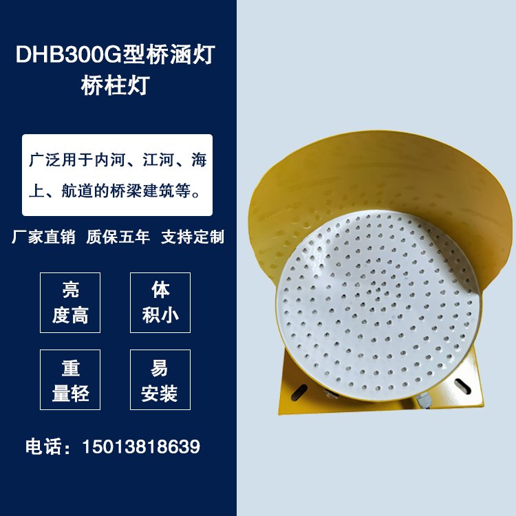 新款CYS-DHB300G桥涵桥